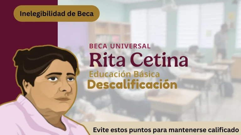 Causas de descalificación – Beca Rita Cetina