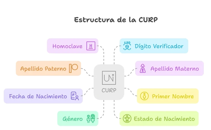 Infografía explicando la estructura de la CURP